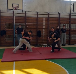 viber_image_2026-02-23_21-47-17-224